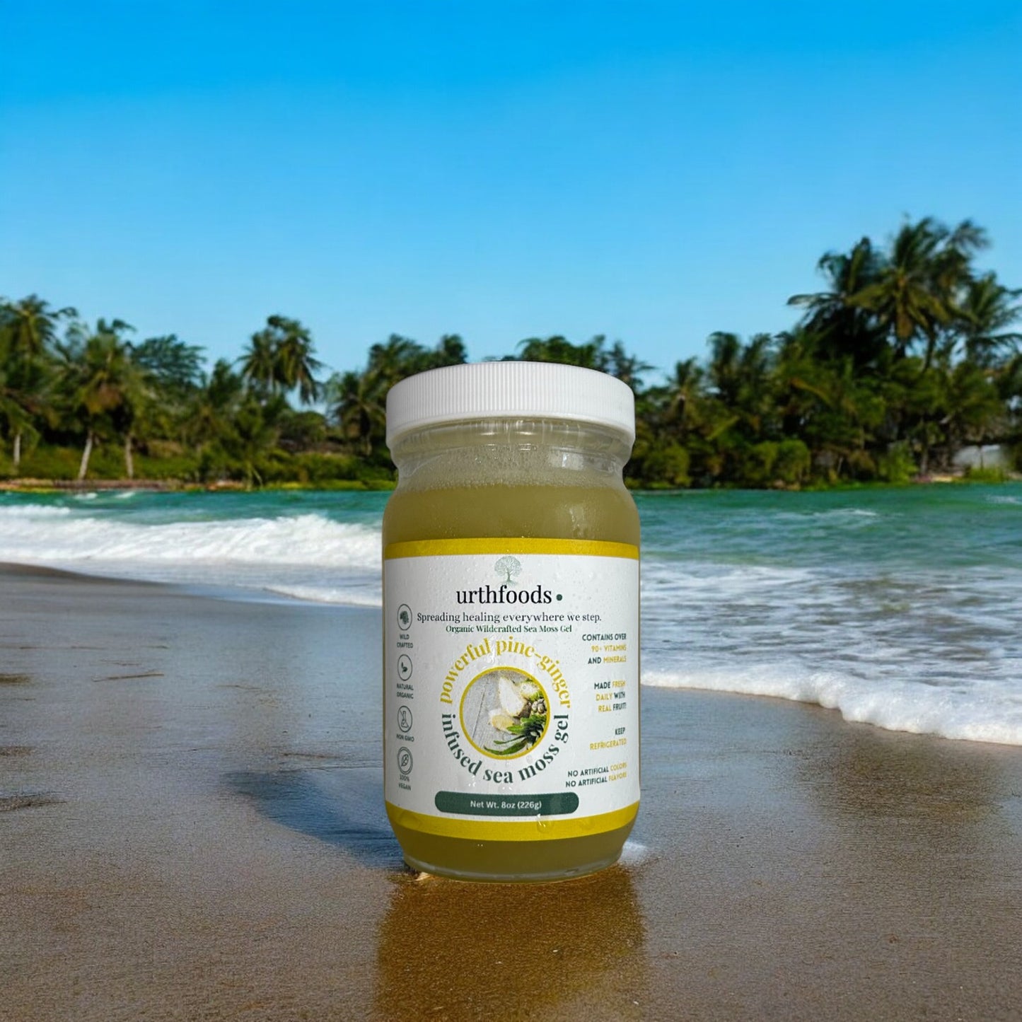 Powerful Pine-Ginger Sea Moss Gel