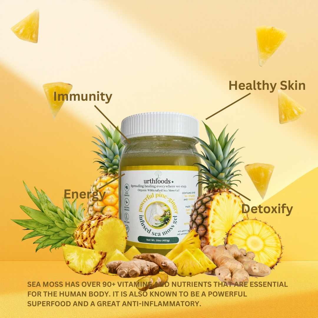 Powerful Pine-Ginger Sea Moss Gel