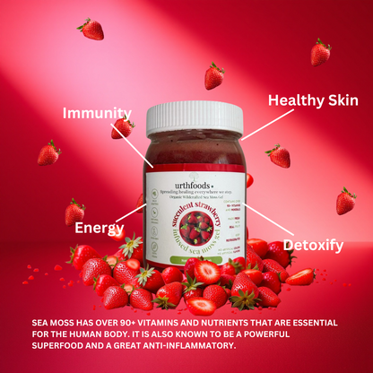 Succulent Strawberry Sea Moss Gel